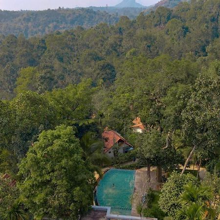 Willow Resorts Ambalavayal Eksteriør bilde